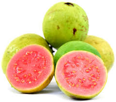 guava fruit